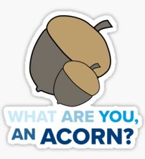 Acorn Sticker