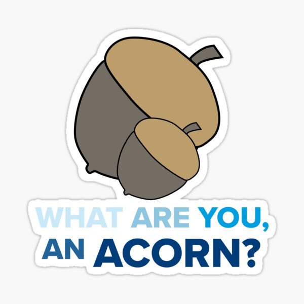 Acorn Sticker