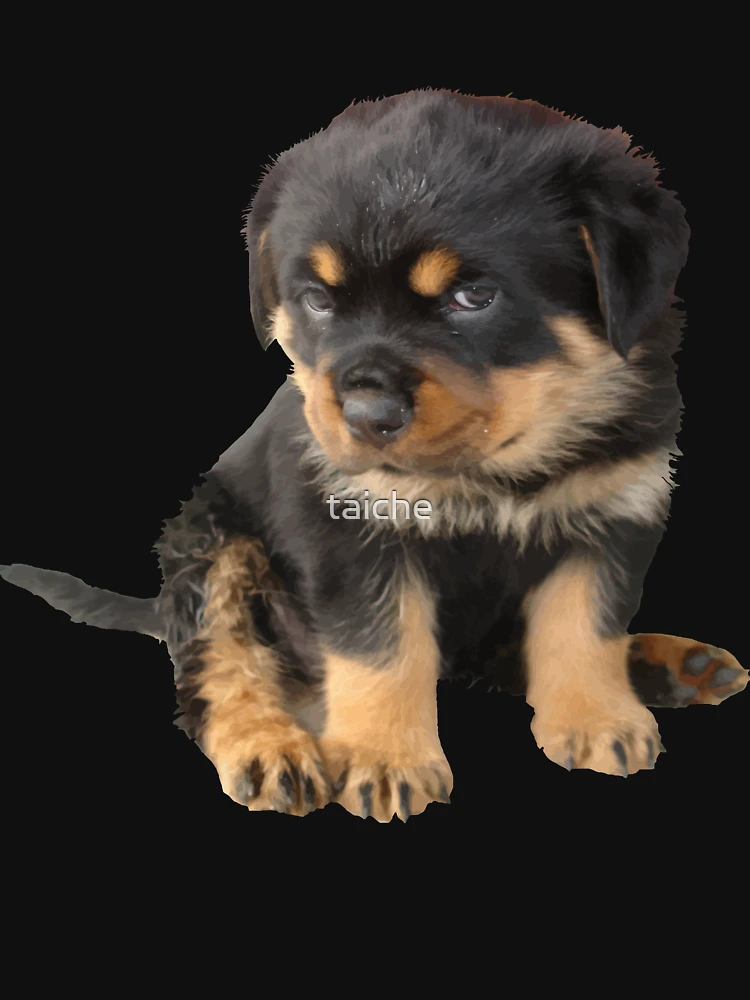 Rottweiler Puppy With Cute Expression Cut Out