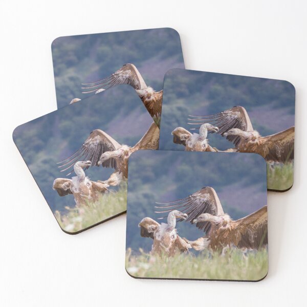 Item preview, Karate Vulture designed and sold by Dominika Aniola.