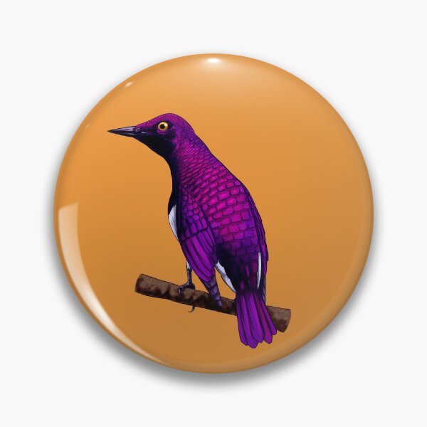 Item preview, violet-backed starling, Cinnyricinclus leucogaster designed and sold by Jojo-Tiger.