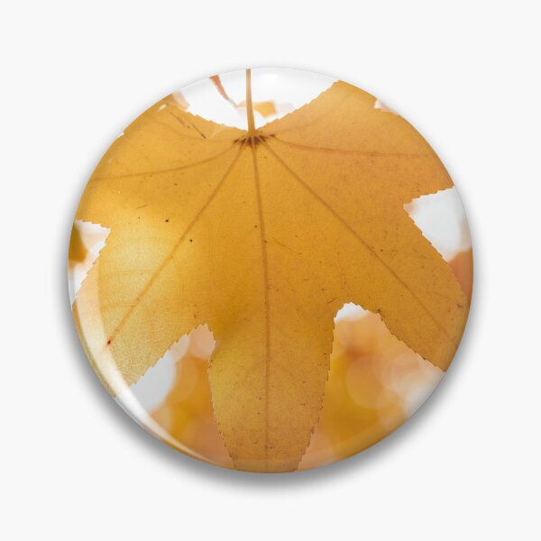 Item preview, Backlit Autumn leaves Balingup  designed and sold by Images by Chris de Blank.