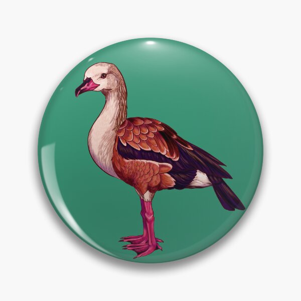 Item preview, Orinoco Goose, Neochen jubata designed and sold by Jojo-Tiger.