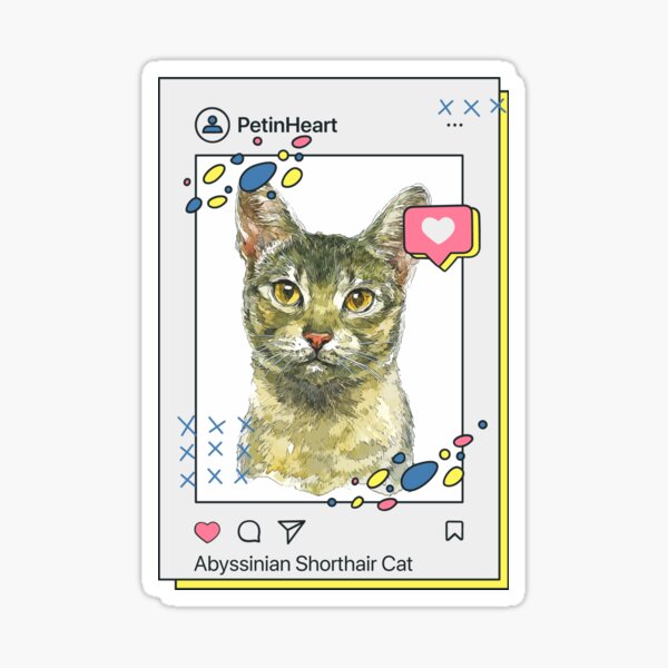 Abyssinian Shorthair Cat Breed Watercolor Item-2 By PetinHeart Sticker