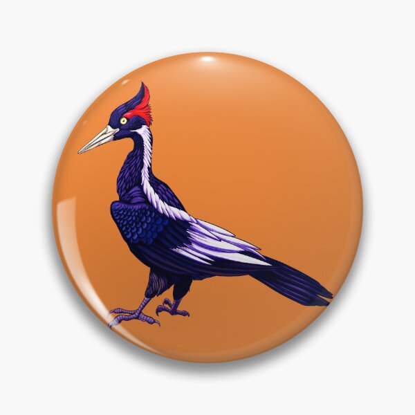 Item preview, Ivery-billed Woodpecker, Campephilus principalis designed and sold by Jojo-Tiger.
