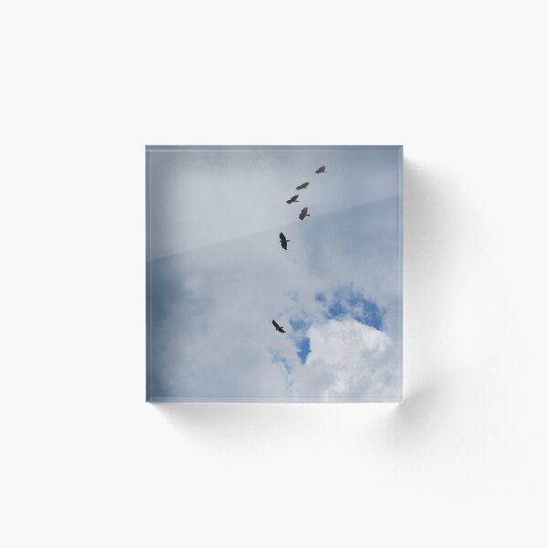 Riding the Thermals Acrylic Block
