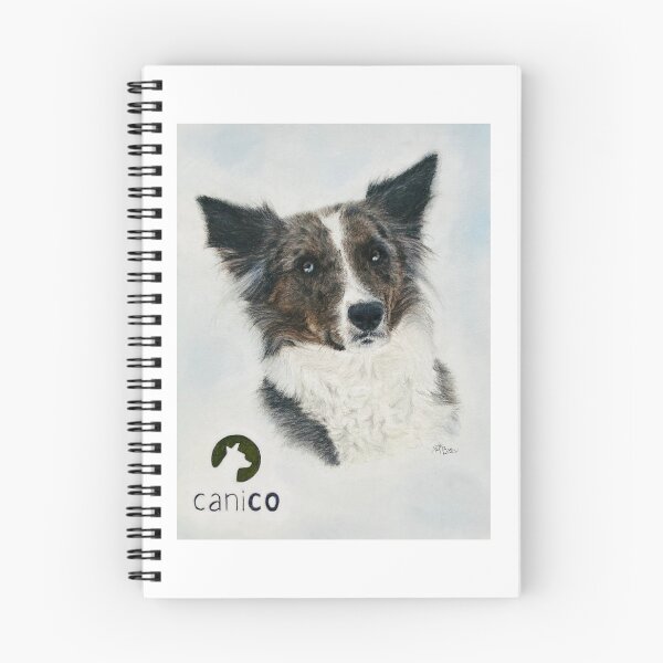 Item preview, Stunning Border Collie | breeding designed and sold by NathBros.