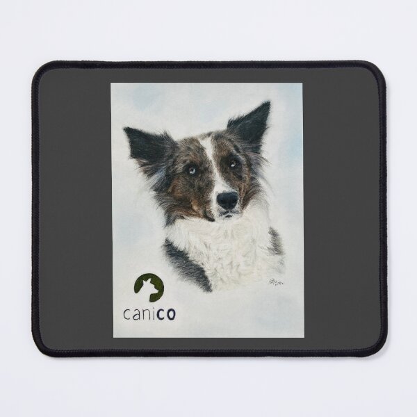 Item preview, Stunning Border Collie | breeding designed and sold by NathBros.