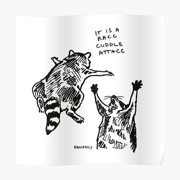  Trash Panda Raccoon Poster Wall Art Decor Unframed