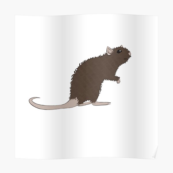 Rat Rex Brownagouti Poster For Sale By Ratrancid Redbubble