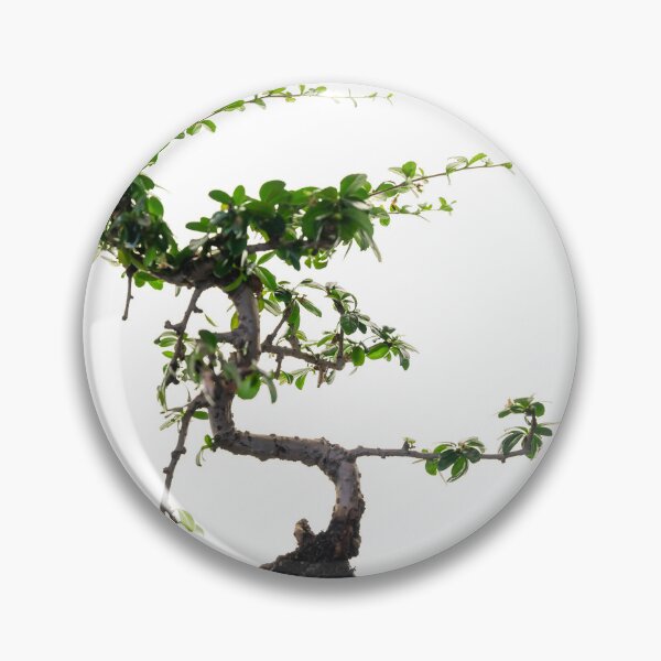 Artikelvorschau, Bonsai-Baum auf weißem Hintergrund entworfen und verkauft von Mats Silvan.