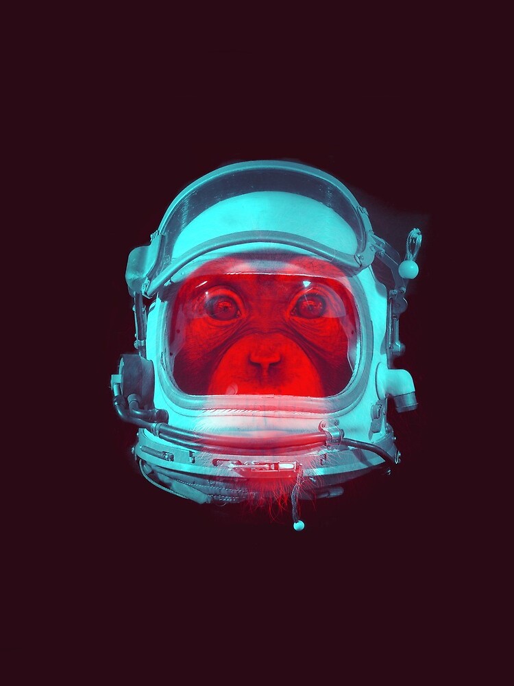 Space Monkey by Little-Rabbit