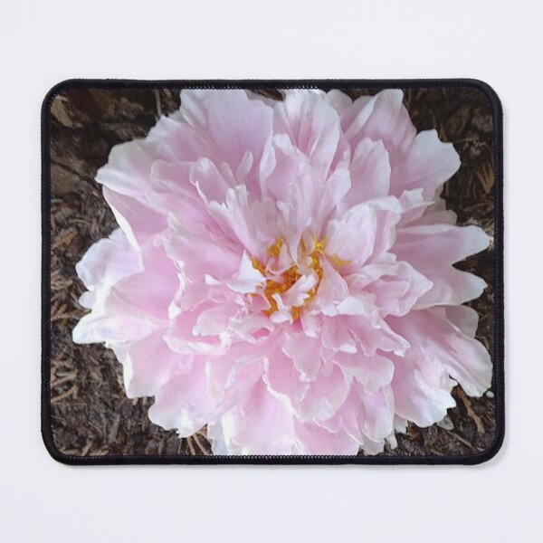 Item preview, Peony designed and sold by Robert Elfferich.