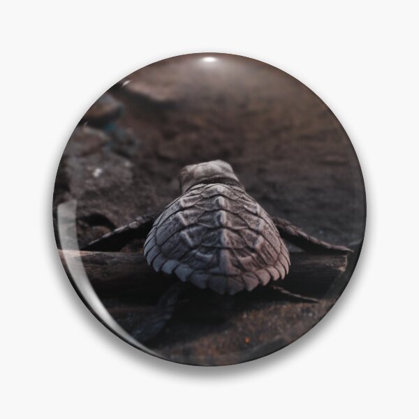 Item preview, Baby Turtle On Beach at Sunset designed and sold by Z3dogg.