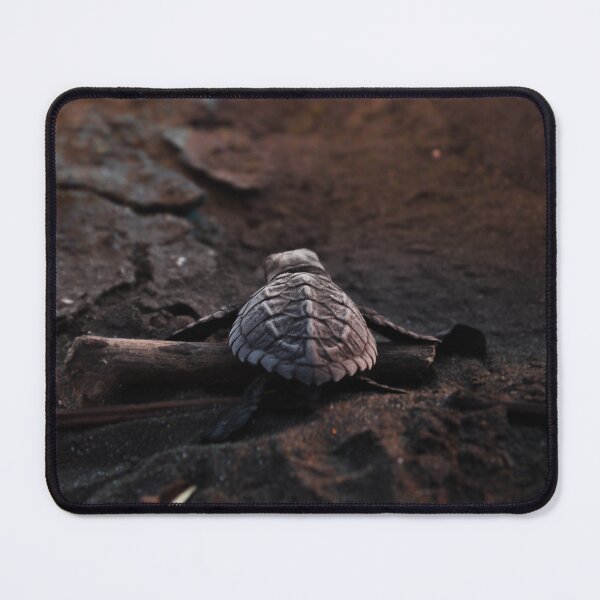 Item preview, Baby Turtle On Beach at Sunset designed and sold by Z3dogg.