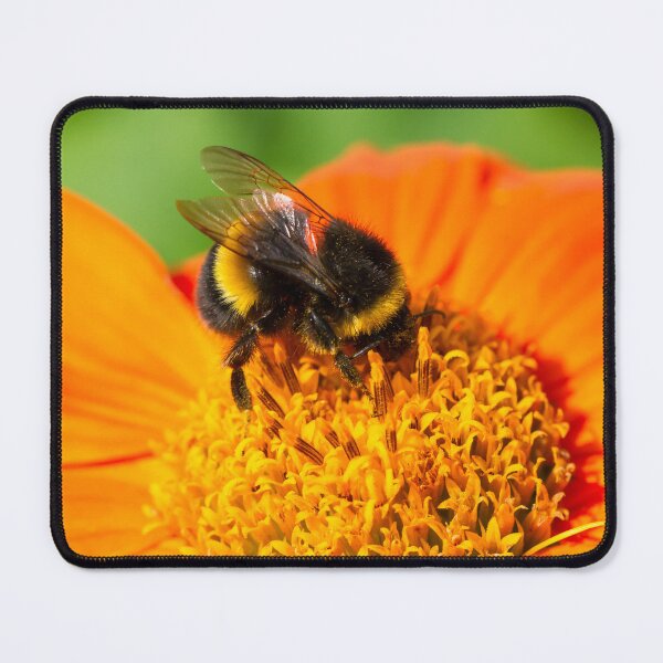Item preview, Bumblebee On Orange Flower designed and sold by Tanya C  Smith.