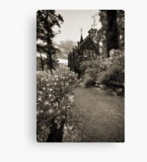 Path to Shadowplay Canvas Print