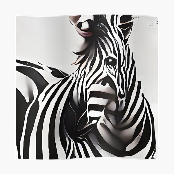 The Zebra Poster