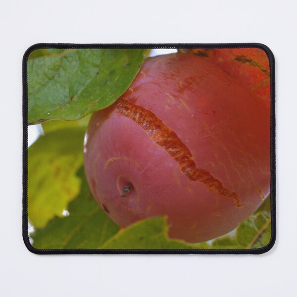 Item preview, Persimmon designed and sold by WanderingGraha.