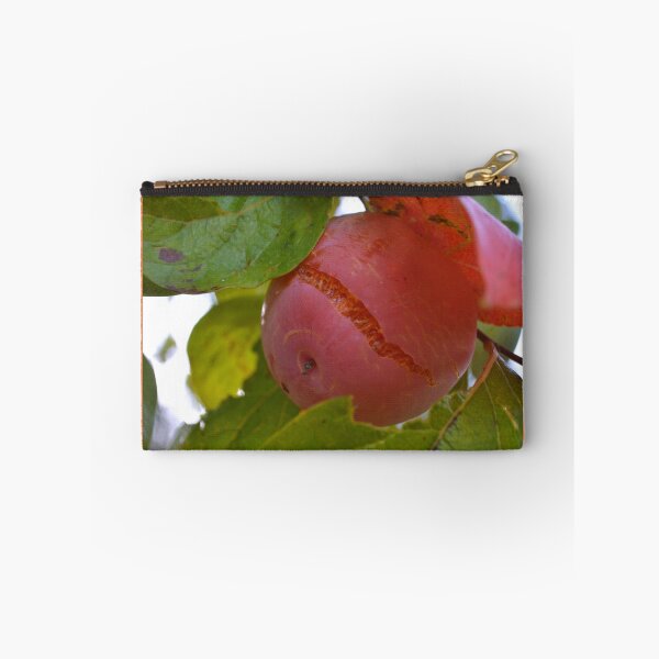 Item preview, Persimmon designed and sold by WanderingGraha.