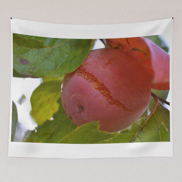 Item preview, Persimmon designed and sold by WanderingGraha.