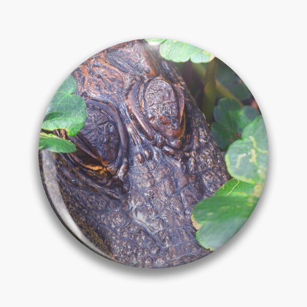 Item preview, Hiding Alligator designed and sold by LisaWootenPhoto.