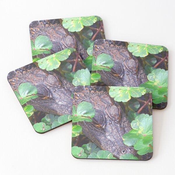 Item preview, Hiding Alligator  designed and sold by LisaWootenPhoto.