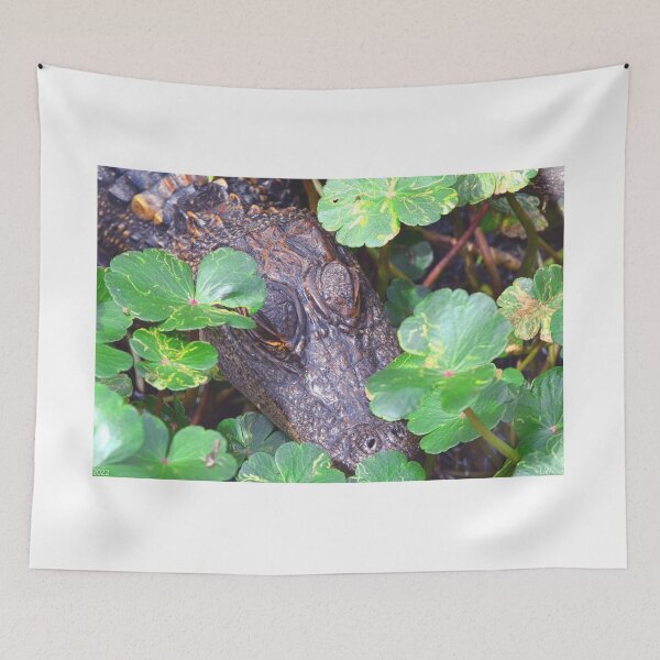Item preview, Hiding Alligator designed and sold by LisaWootenPhoto.