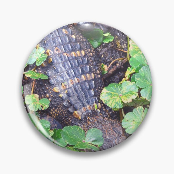 Item preview, Hiding Alligator Vertical designed and sold by LisaWootenPhoto.