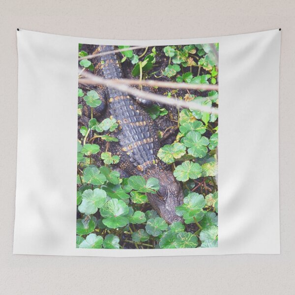 Item preview, Hiding Alligator Vertical designed and sold by LisaWootenPhoto.