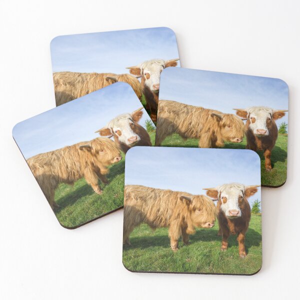 Item preview, Young Highland Cows designed and sold by rawshutterbug.