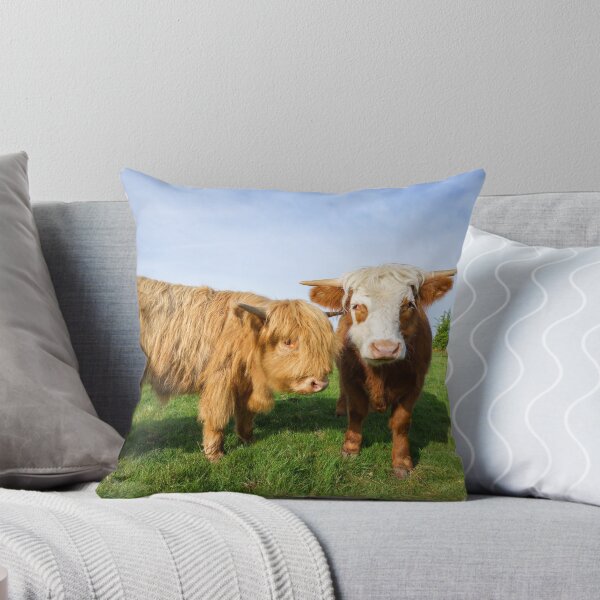 Item preview, Young Highland Cows designed and sold by rawshutterbug.