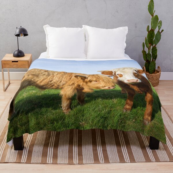 Item preview, Young Highland Cows designed and sold by rawshutterbug.
