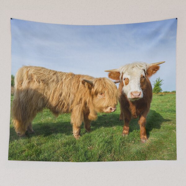 Item preview, Young Highland Cows designed and sold by rawshutterbug.