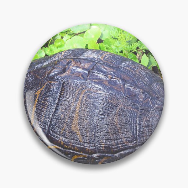 Item preview, Turtle Sunning  designed and sold by LisaWootenPhoto.