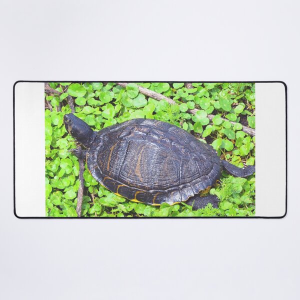 Item preview, Turtle Sunning  designed and sold by LisaWootenPhoto.