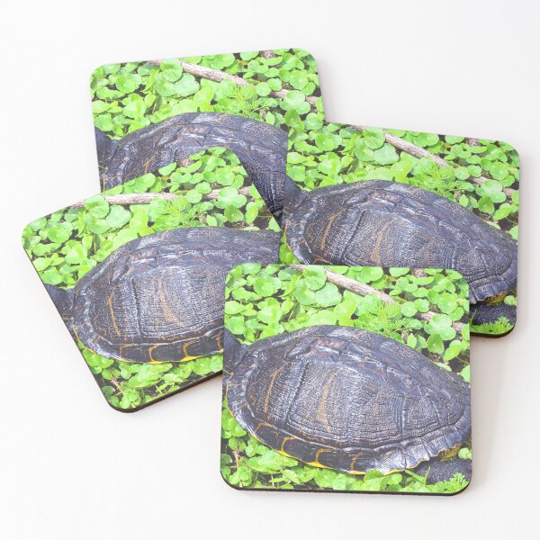 Item preview, Turtle Sunning  designed and sold by LisaWootenPhoto.