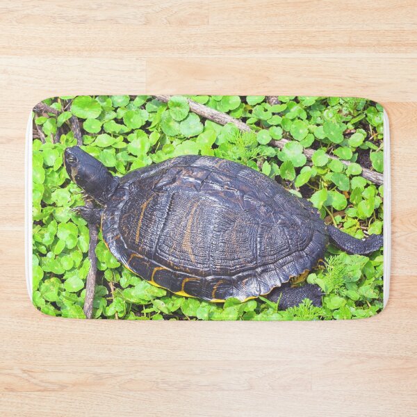 Item preview, Turtle Sunning  designed and sold by LisaWootenPhoto.