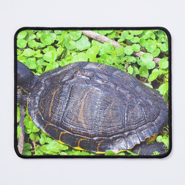 Item preview, Turtle Sunning  designed and sold by LisaWootenPhoto.