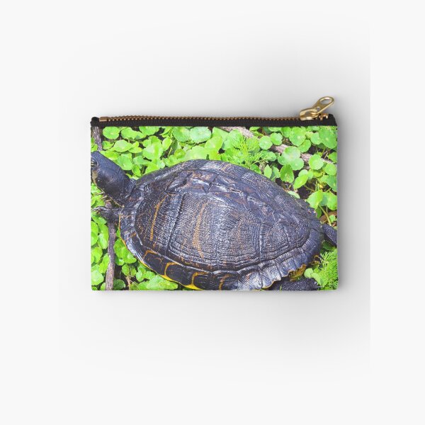 Item preview, Turtle Sunning  designed and sold by LisaWootenPhoto.