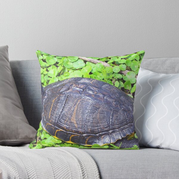 Item preview, Turtle Sunning  designed and sold by LisaWootenPhoto.