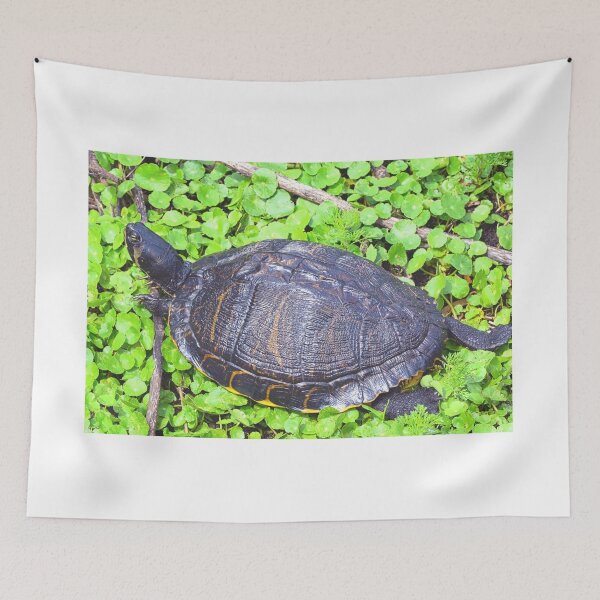 Item preview, Turtle Sunning  designed and sold by LisaWootenPhoto.