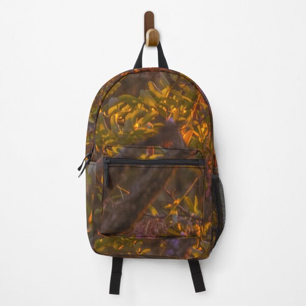 Item preview, Autumn sunset reflection on acacia leaves designed and sold by oneperception.