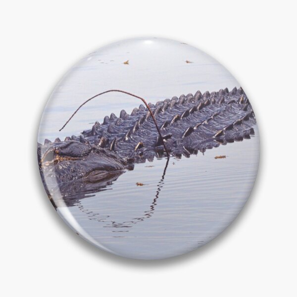 Item preview, Wanna Come Swimming With Me designed and sold by LisaWootenPhoto.