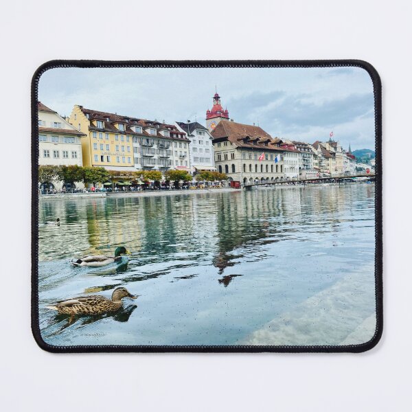 Item preview, Ducks in Lucerne designed and sold by MartaPaprocka.