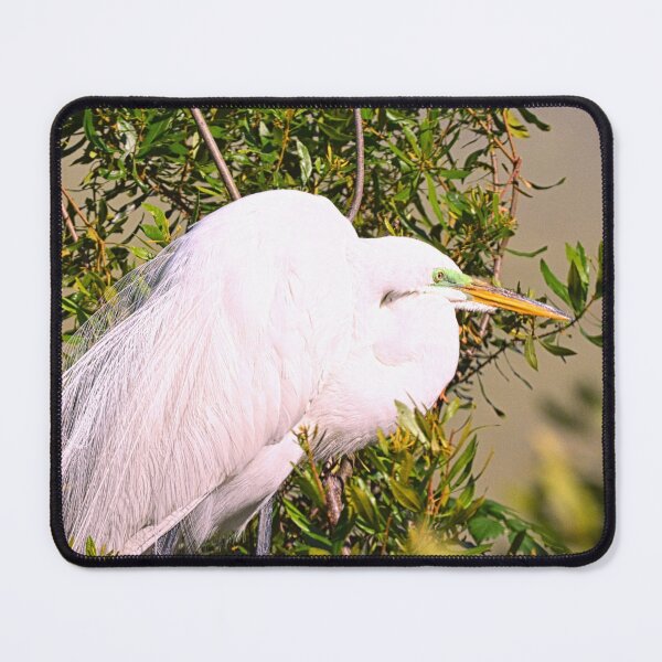 Item preview, Beautiful White Egret designed and sold by LisaWootenPhoto.