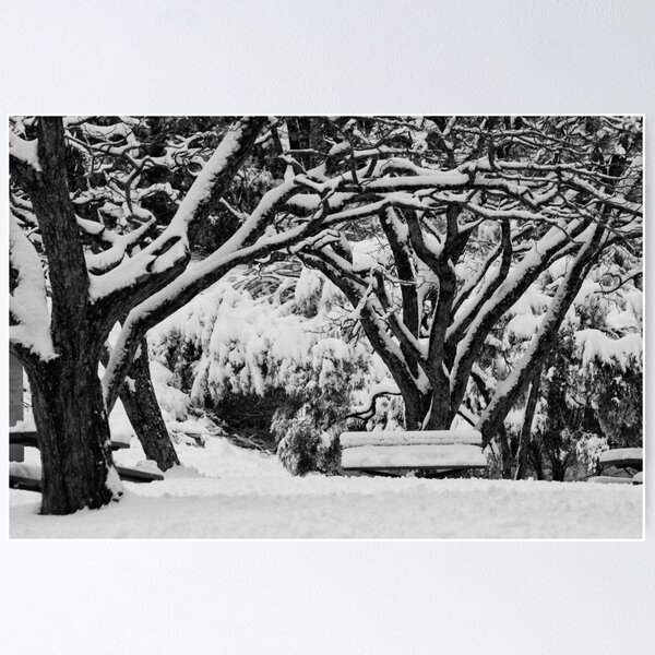Item preview, Memorial Park Blackeath in Heavy Snow designed and sold by Geoff Smith.