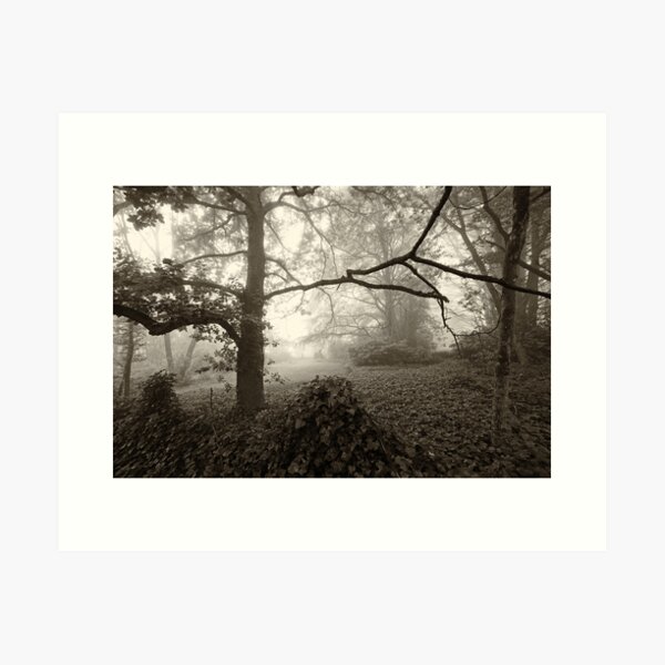 Item preview, Misty Trees designed and sold by Geoff Smith.