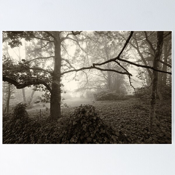 Item preview, Misty Trees designed and sold by Geoff Smith.