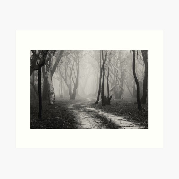 Item preview, Twin Falls Trees in the Mist designed and sold by Geoff Smith.